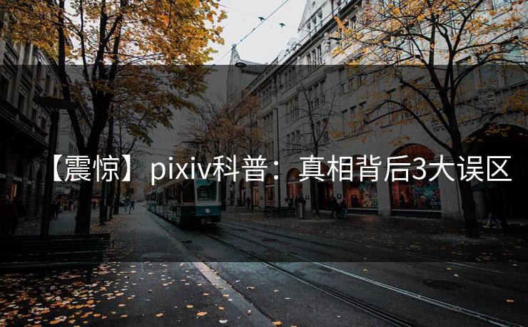 【震惊】pixiv科普：真相背后3大误区
