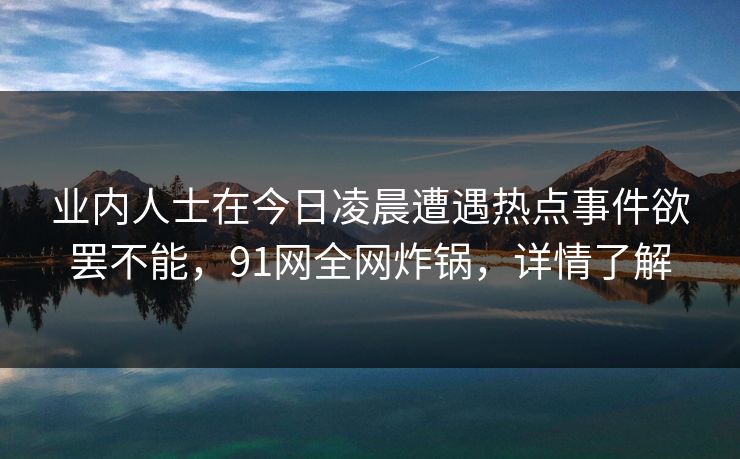 业内人士在今日凌晨遭遇热点事件欲罢不能，91网全网炸锅，详情了解