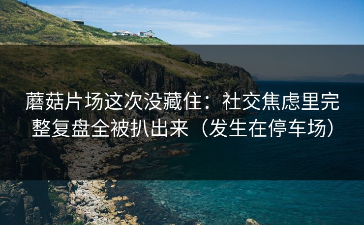 蘑菇片场这次没藏住：社交焦虑里完整复盘全被扒出来（发生在停车场）